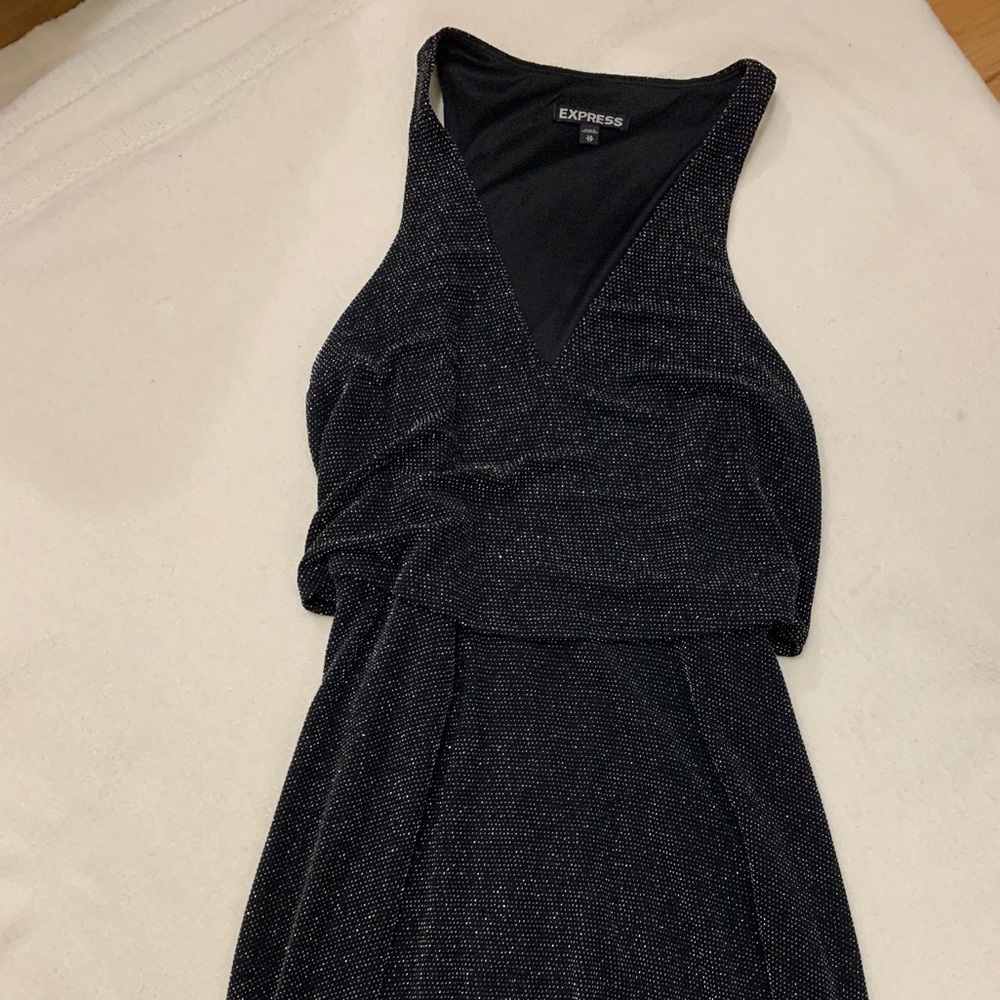 Express Sparkly Dress
